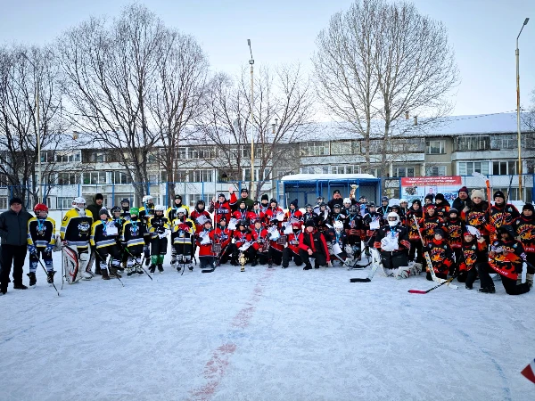 Отчет об итогах Третьего открытого городского турнира по хоккею с шайбой памяти Леонида Николаевича Воронцова